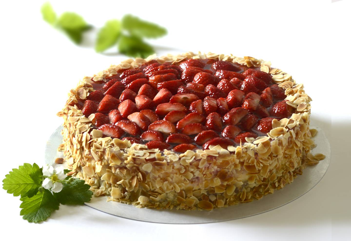 Café Villa Remeis Bamberg – Schönster Ausblick über die Dächer Bambergs ...